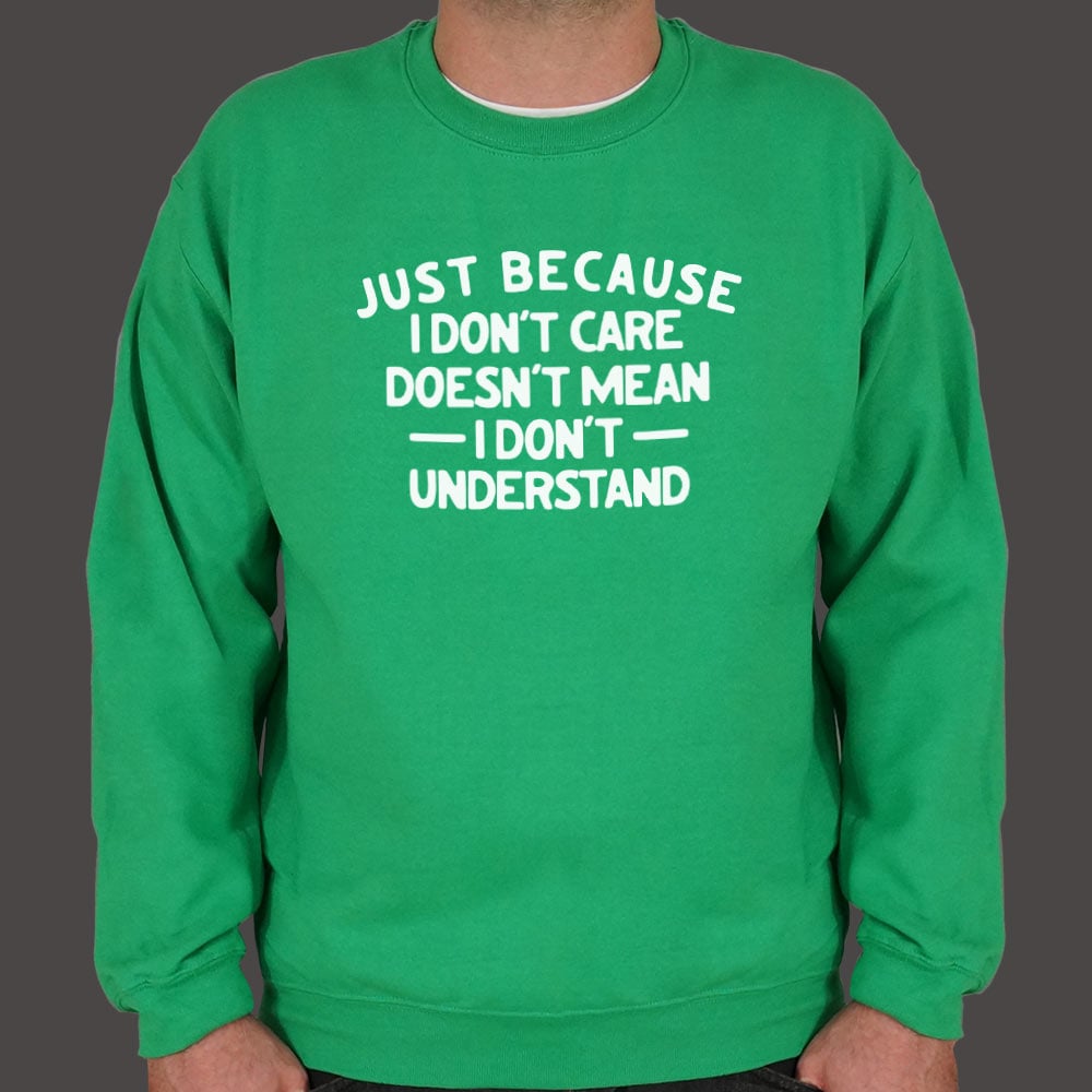 Just Because I Don't Care Doesn't Mean I Don't Understand
