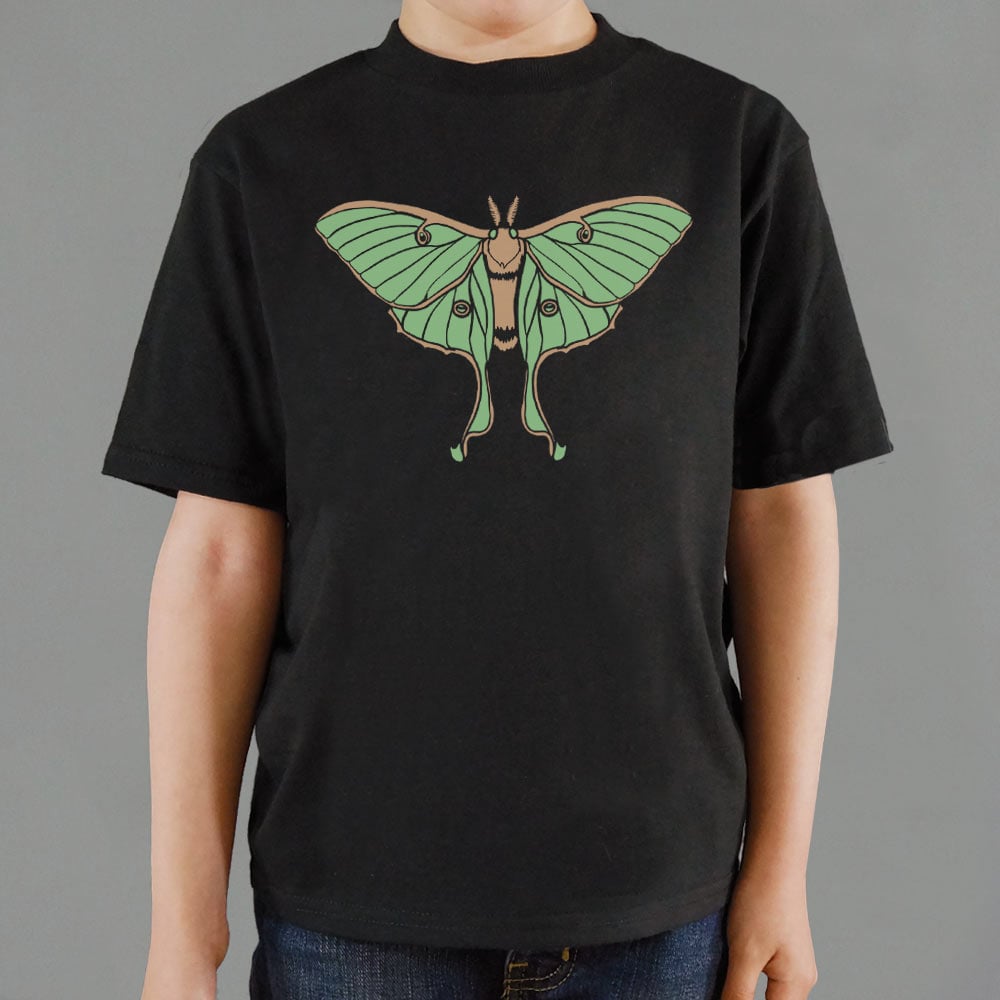 Luna Moth Illustration