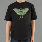 Luna Moth Illustration