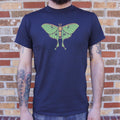 Luna Moth Illustration