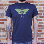 Luna Moth Illustration