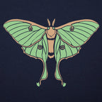Luna Moth Illustration