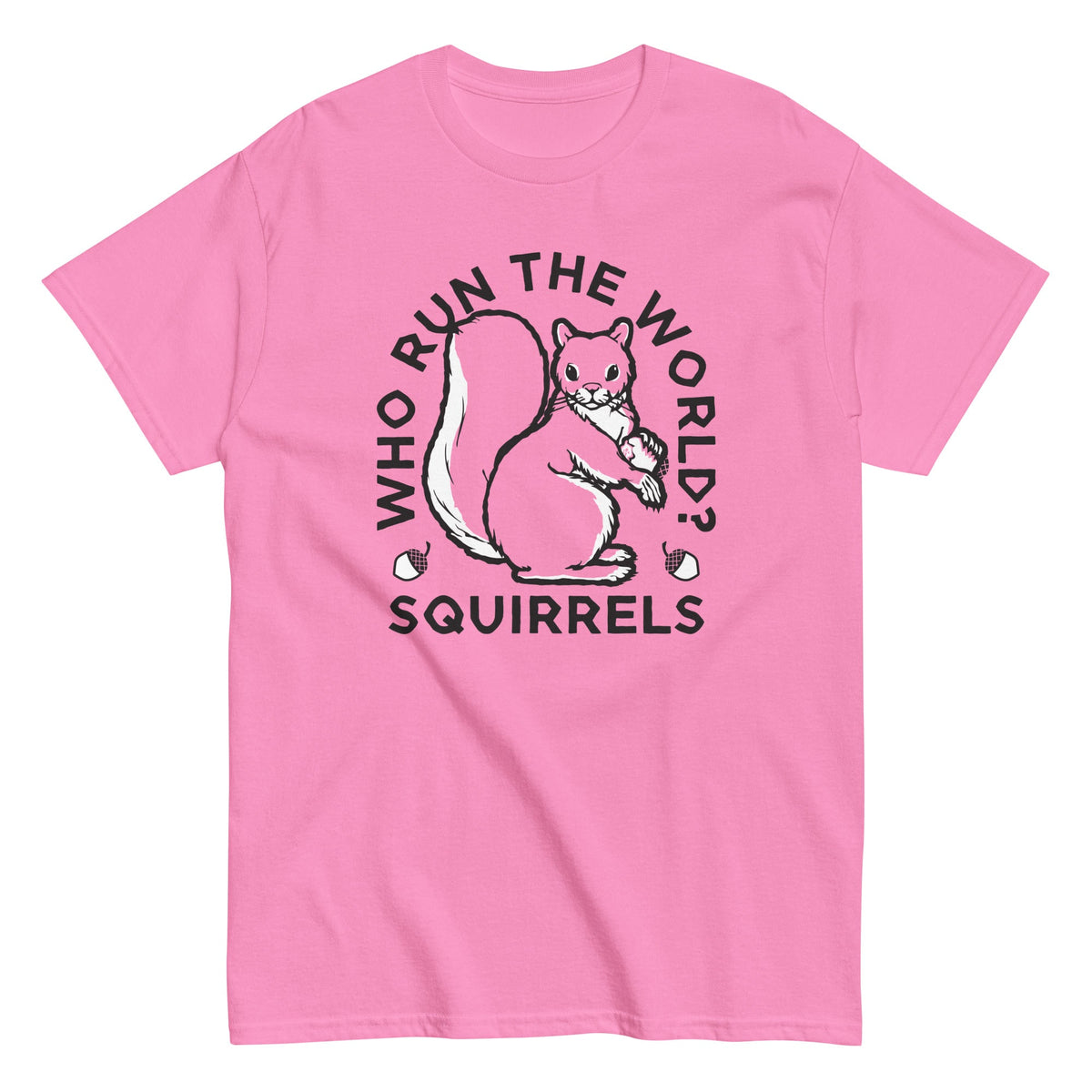 Who Run The World? Squirrels Men's Classic Tee