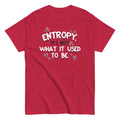 Entropy. It's Not What It Used To Be Men's Classic Tee