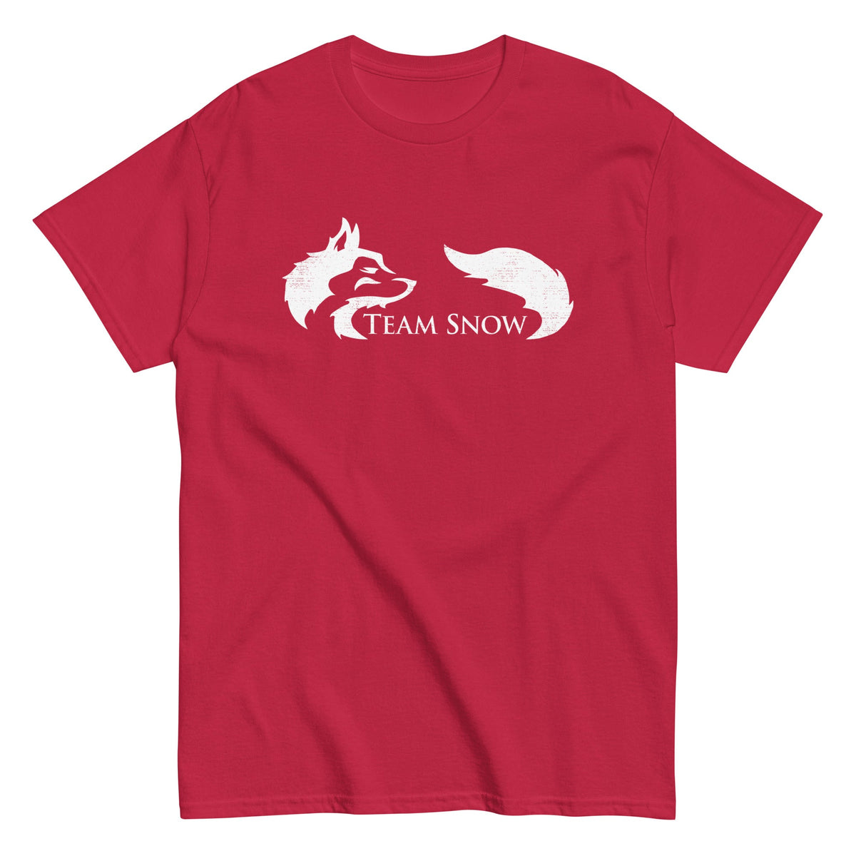 Team Snow Men's Classic Tee