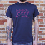 Miami Flamingos