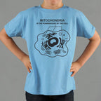 Mitochondria is the Powerhouse of the Cell Diagram