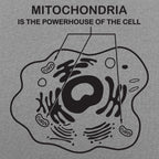 Mitochondria is the Powerhouse of the Cell Diagram