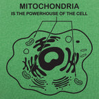 Mitochondria is the Powerhouse of the Cell Diagram