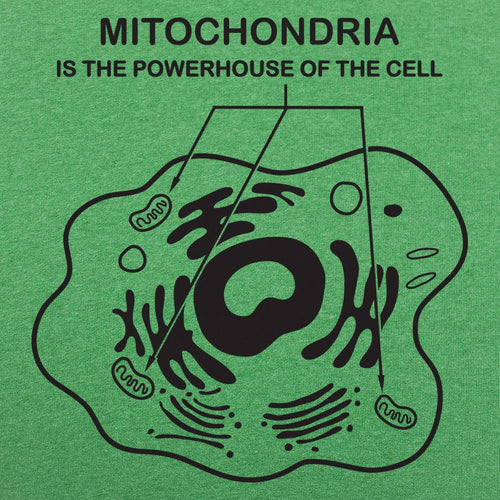 Mitochondria is the Powerhouse of the Cell Diagram