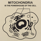 Mitochondria is the Powerhouse of the Cell Diagram