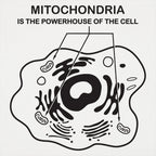 Mitochondria is the Powerhouse of the Cell Diagram