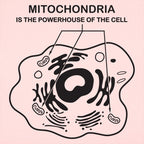 Mitochondria is the Powerhouse of the Cell Diagram