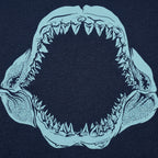 Mouth of the Megalodon Giant Shark Jaw Skeleton