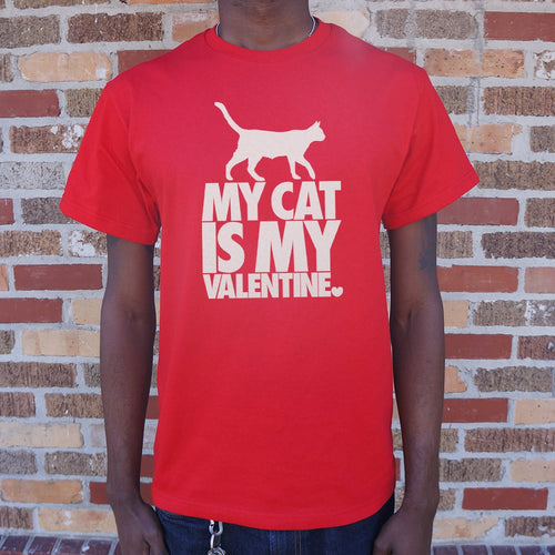 My Cat Is My Valentine