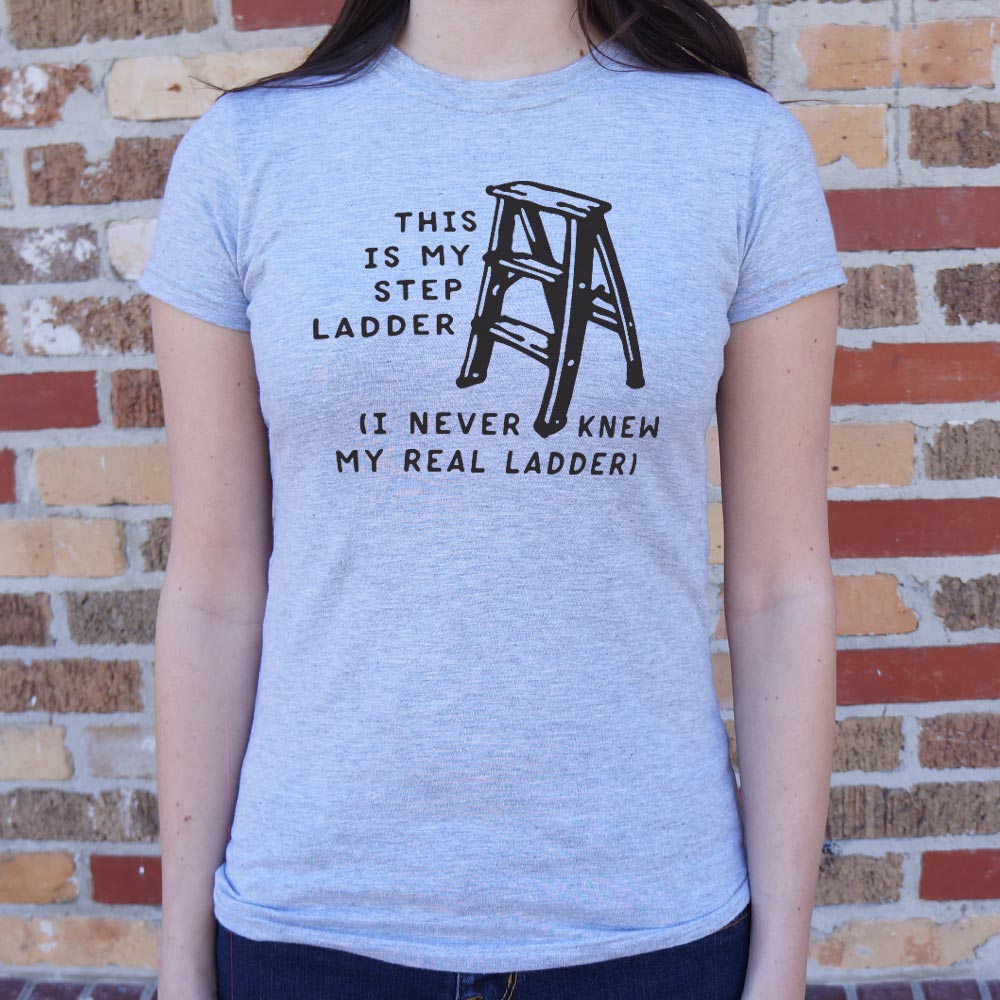 This Is My Step Ladder. I Never Knew My Real Ladder