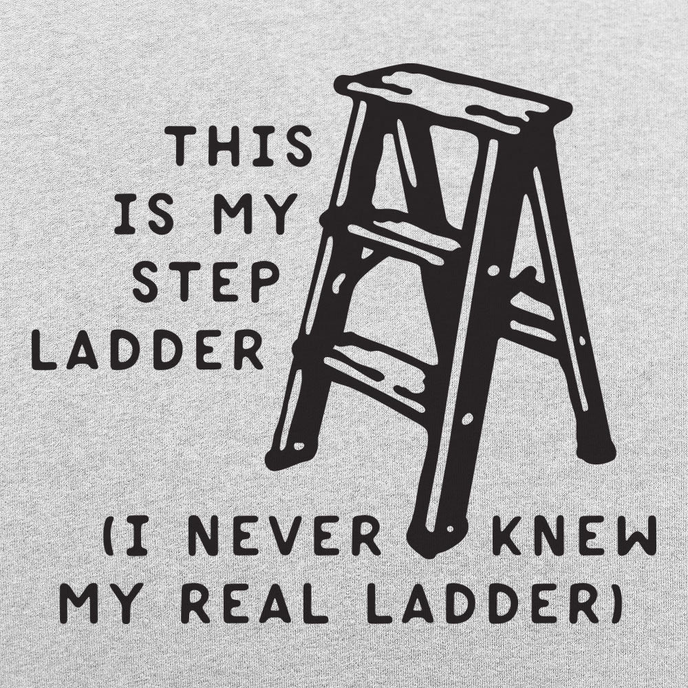 This Is My Step Ladder. I Never Knew My Real Ladder