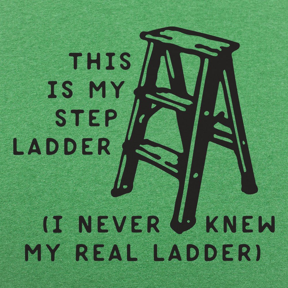 This Is My Step Ladder. I Never Knew My Real Ladder