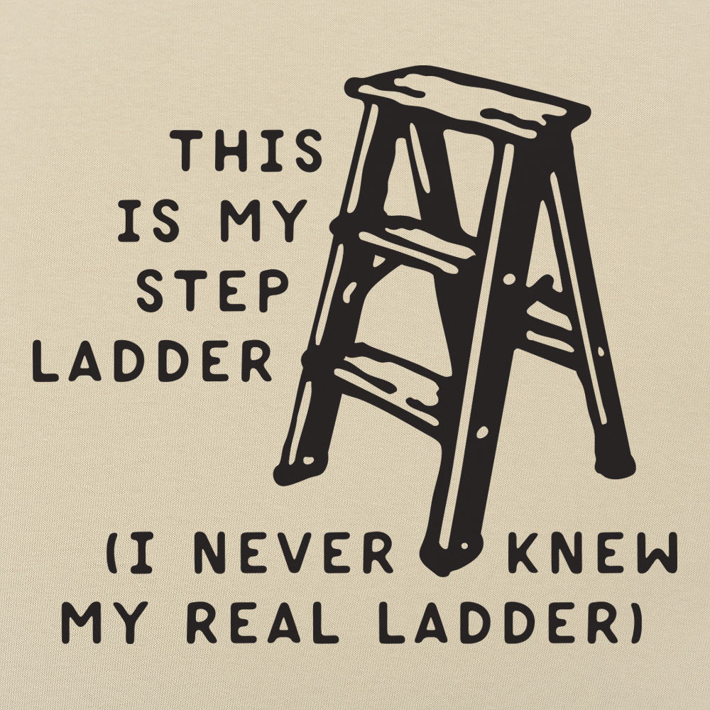 This Is My Step Ladder. I Never Knew My Real Ladder