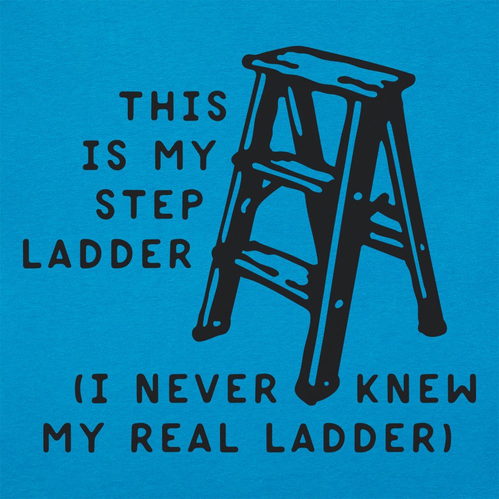 This Is My Step Ladder. I Never Knew My Real Ladder