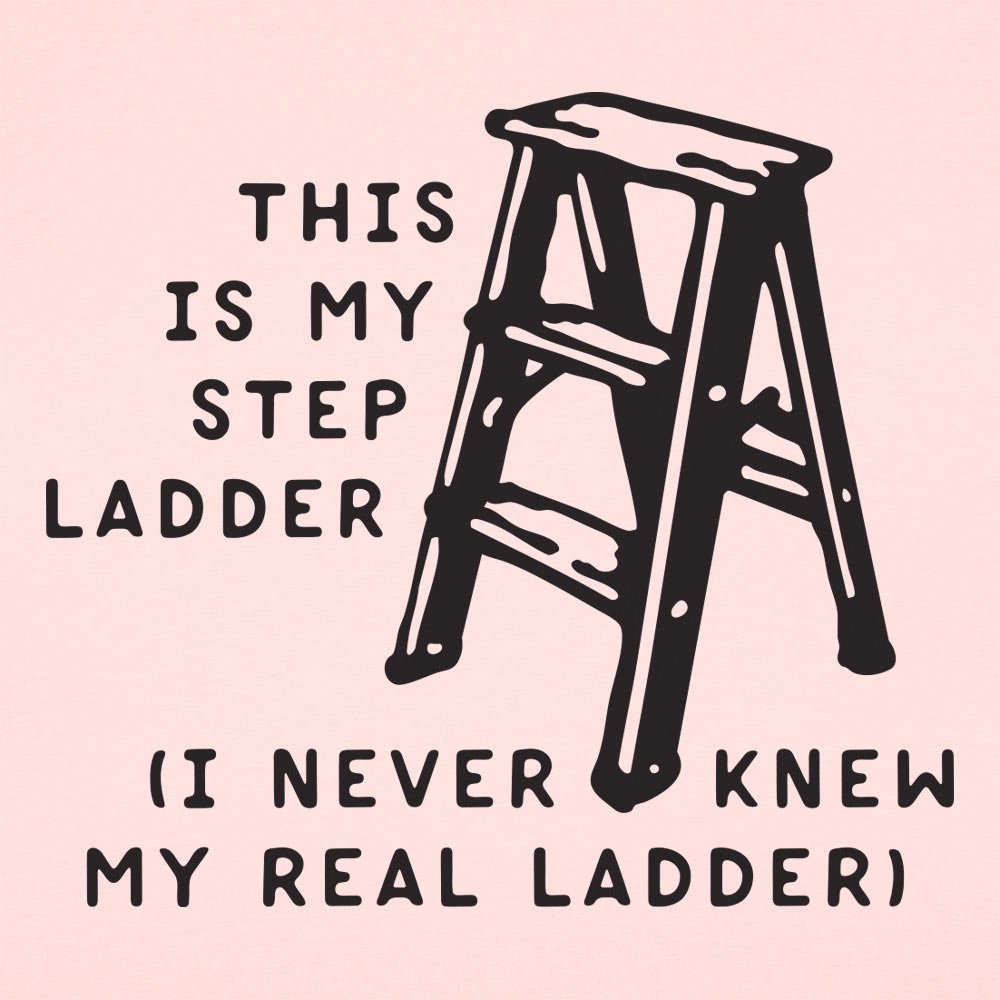 This Is My Step Ladder. I Never Knew My Real Ladder