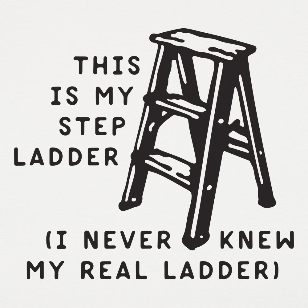 This Is My Step Ladder. I Never Knew My Real Ladder