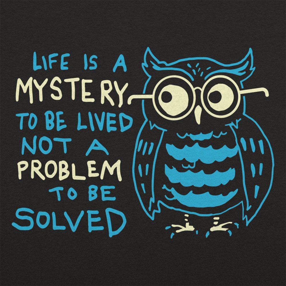 Mystery Owl Life Is a Mystery to Be Lived