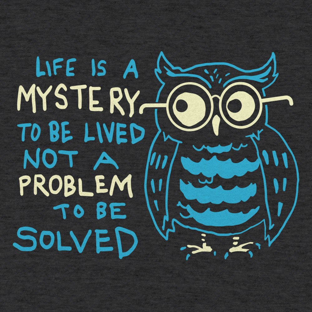 Mystery Owl Life Is a Mystery to Be Lived