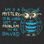Mystery Owl Life Is a Mystery to Be Lived