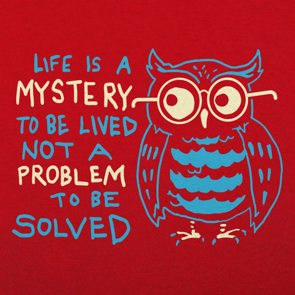 Mystery Owl Life Is a Mystery to Be Lived