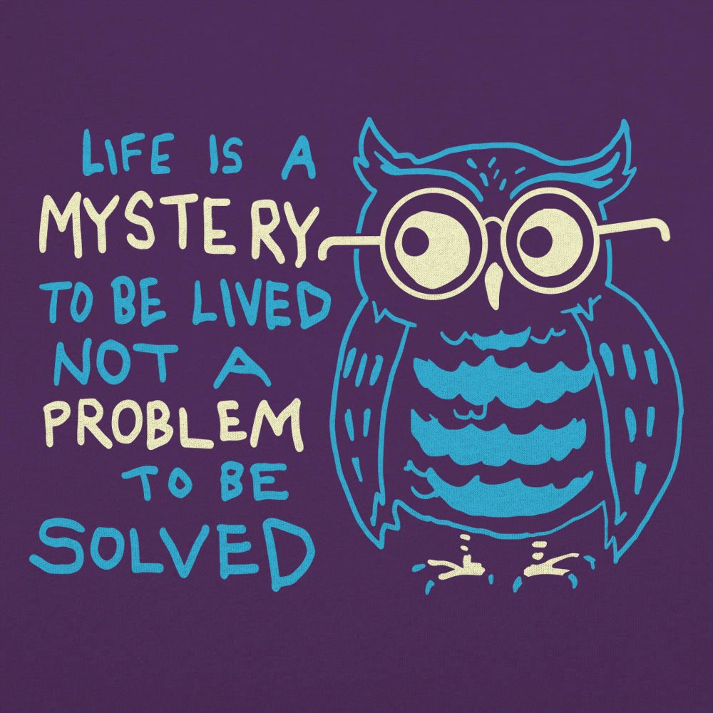 Mystery Owl Life Is a Mystery to Be Lived