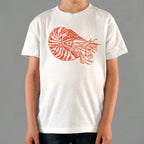 Nautilus Shelled Cephalopod Illustration