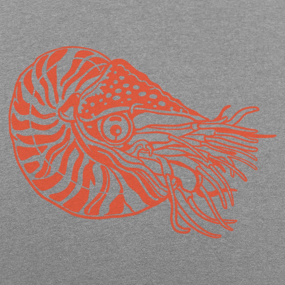 Nautilus Shelled Cephalopod Illustration