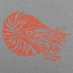 Nautilus Shelled Cephalopod Illustration