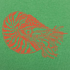 Nautilus Shelled Cephalopod Illustration