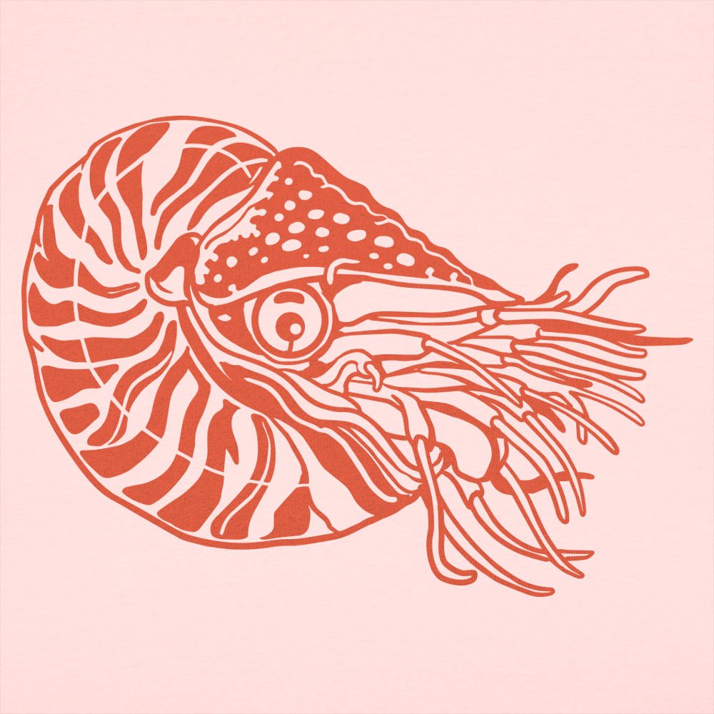 Nautilus Shelled Cephalopod Illustration
