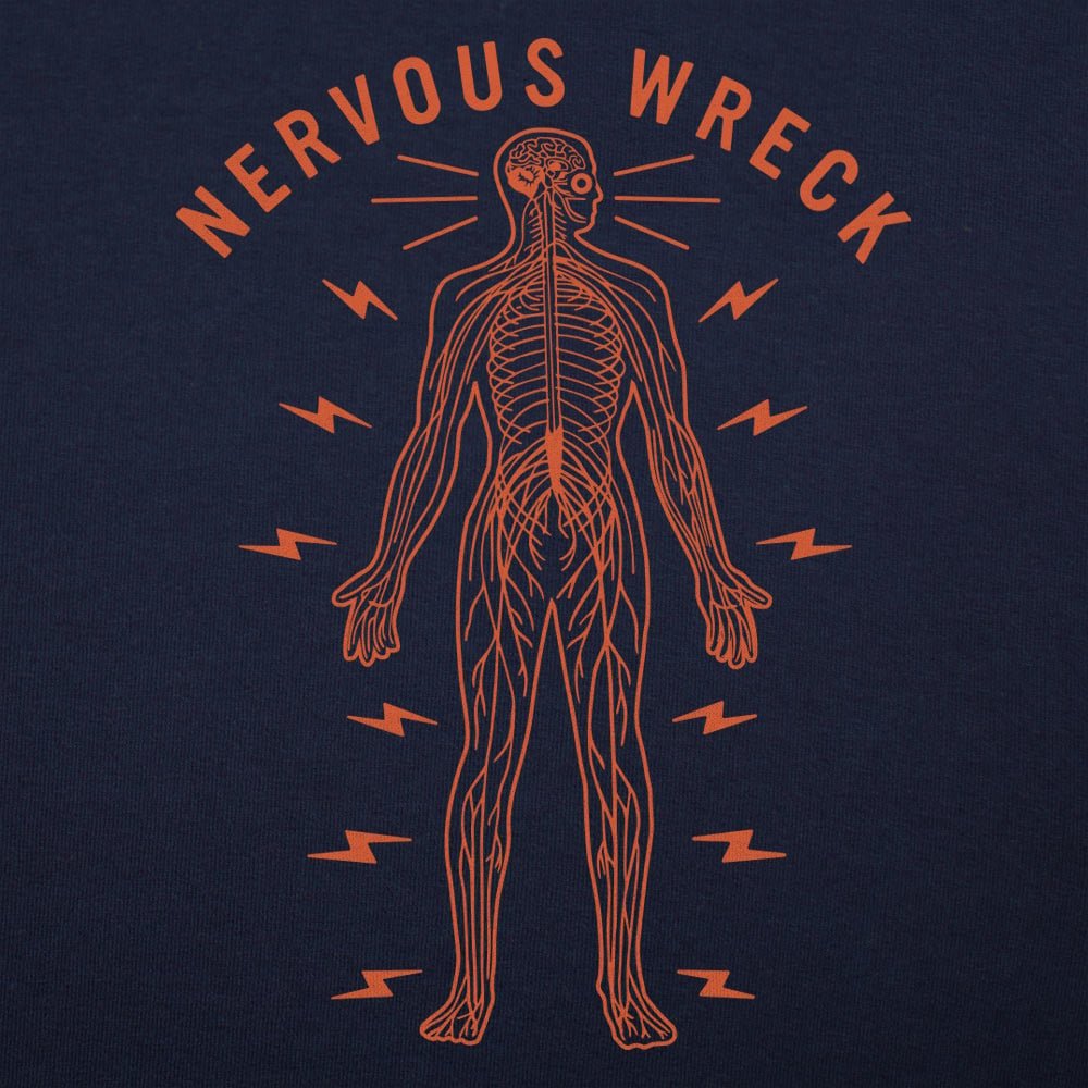 Nervous Wreck Human Nervous System Anatomy Diagram