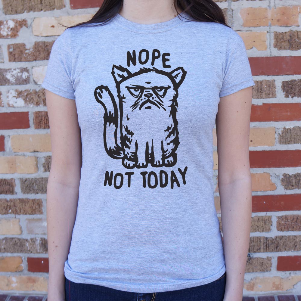 Nope Cat Not Today. Grumpy Cat Saying No