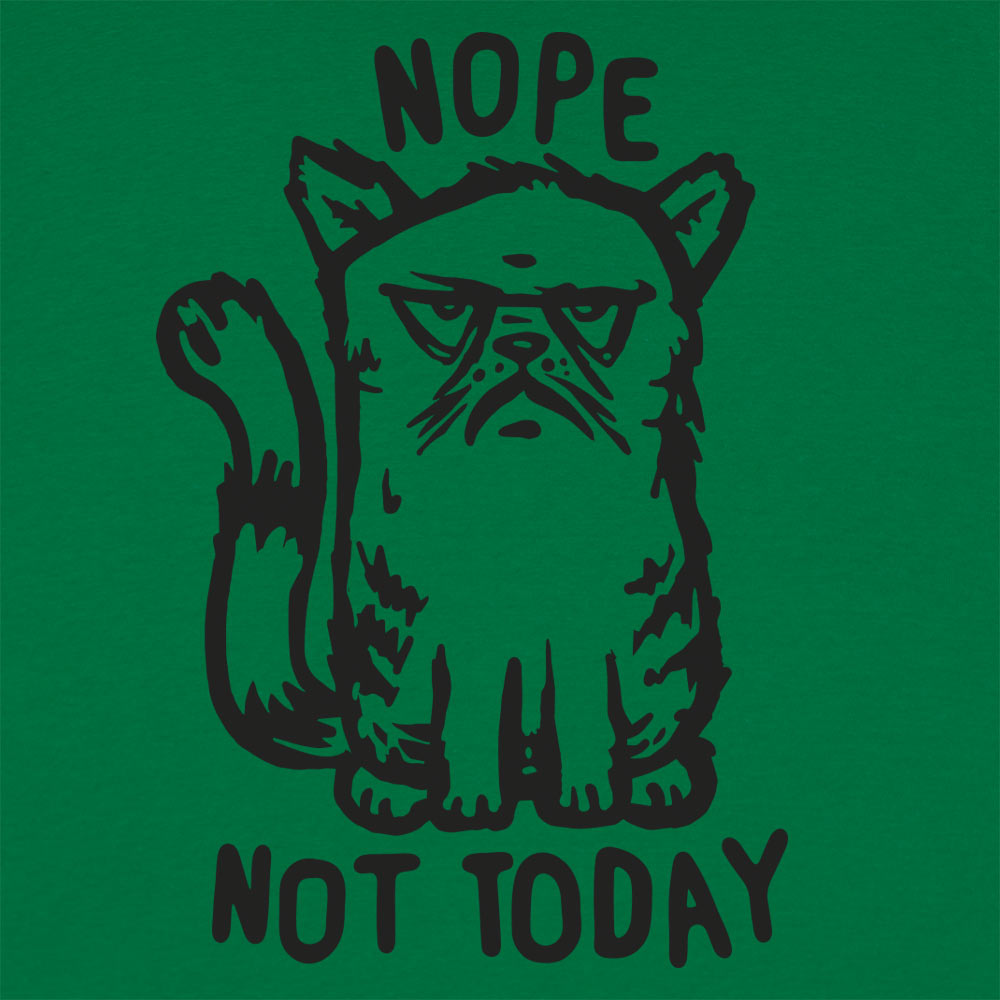 Nope Cat Not Today. Grumpy Cat Saying No