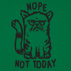 Nope Cat Not Today. Grumpy Cat Saying No