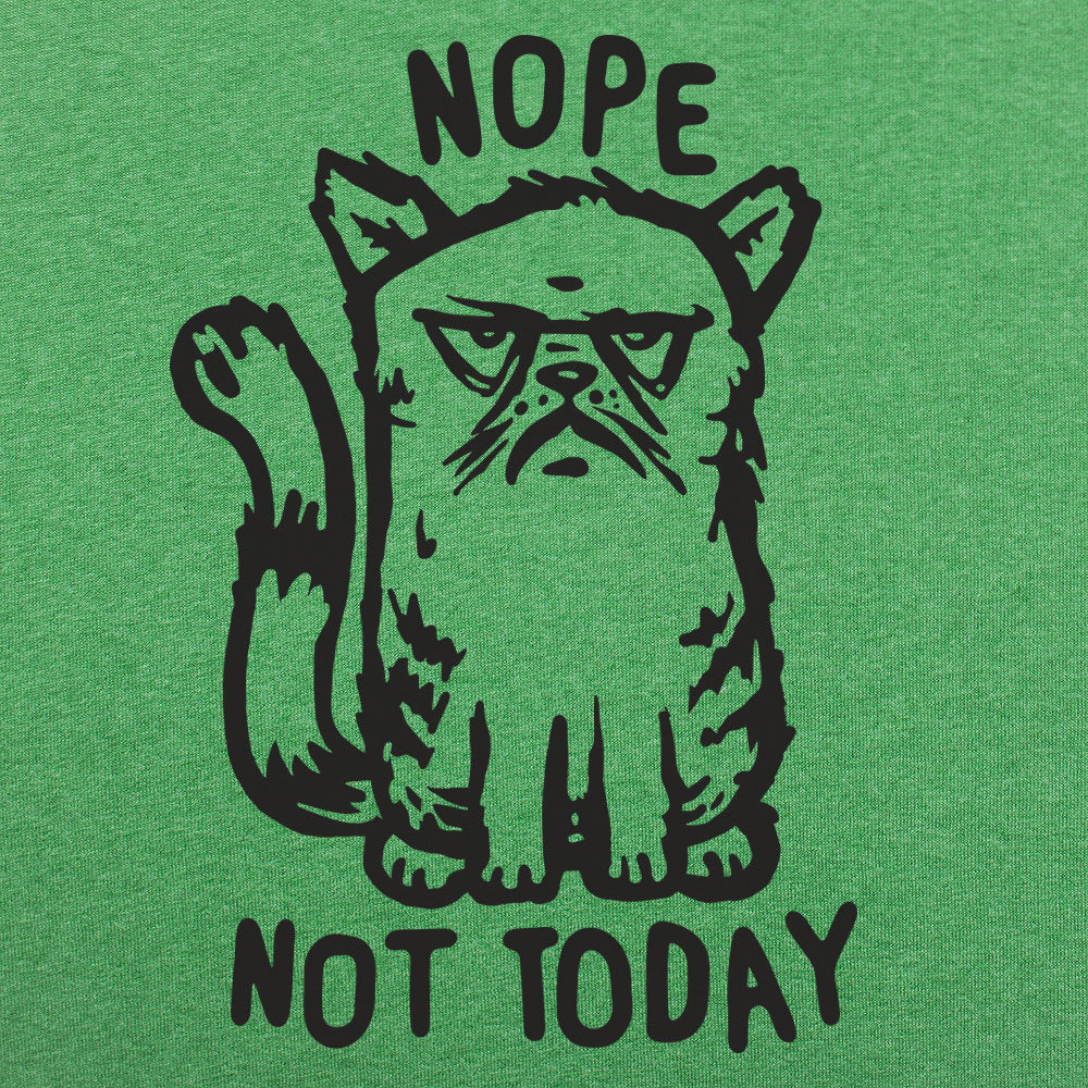 Nope Cat Not Today. Grumpy Cat Saying No