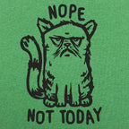 Nope Cat Not Today. Grumpy Cat Saying No