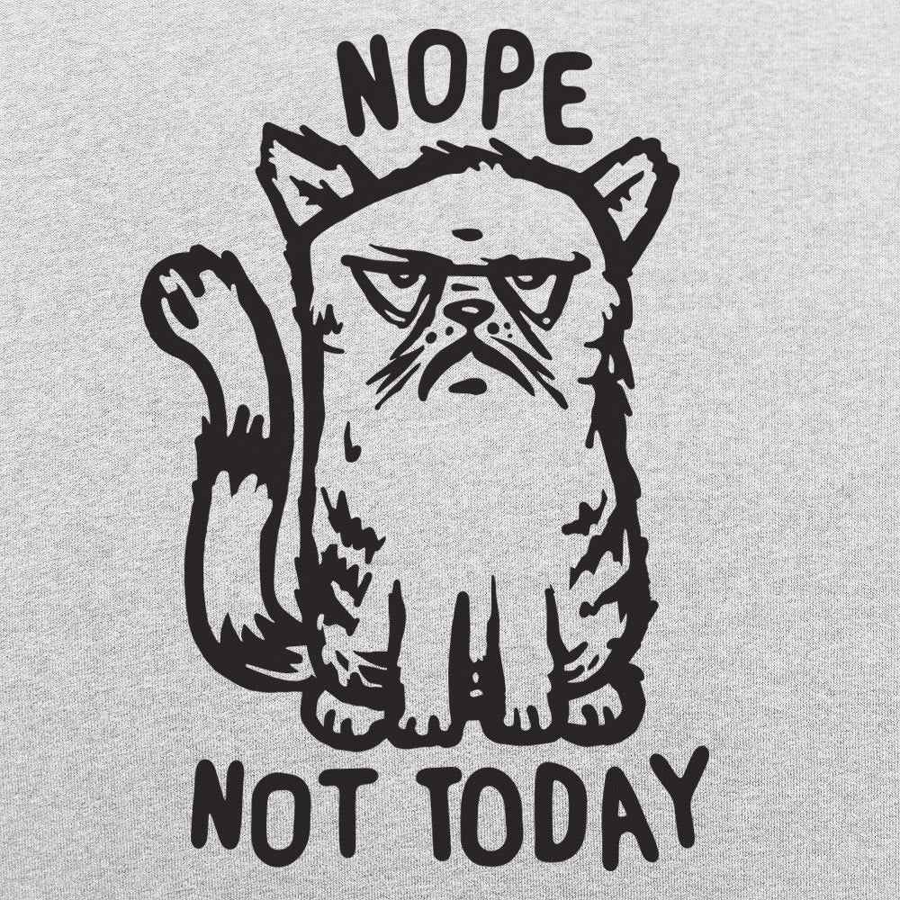 Nope Cat Not Today. Grumpy Cat Saying No