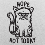 Nope Cat Not Today. Grumpy Cat Saying No