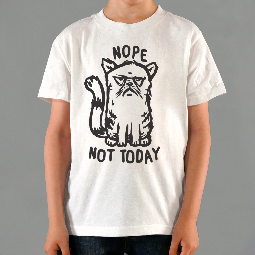 Nope Cat Not Today. Grumpy Cat Saying No