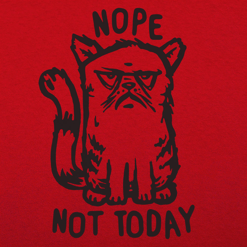 Nope Cat Not Today. Grumpy Cat Saying No