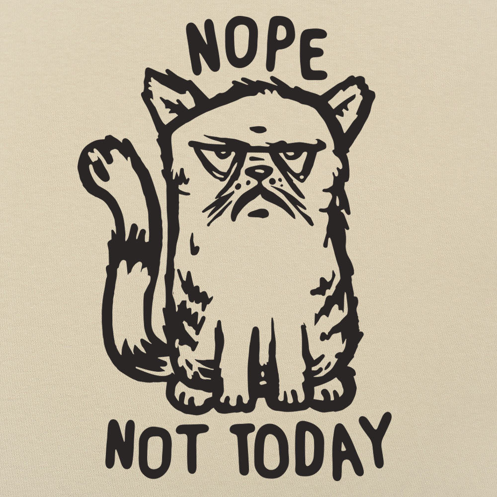 Nope Cat Not Today. Grumpy Cat Saying No