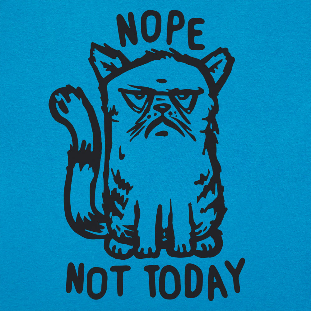 Nope Cat Not Today. Grumpy Cat Saying No