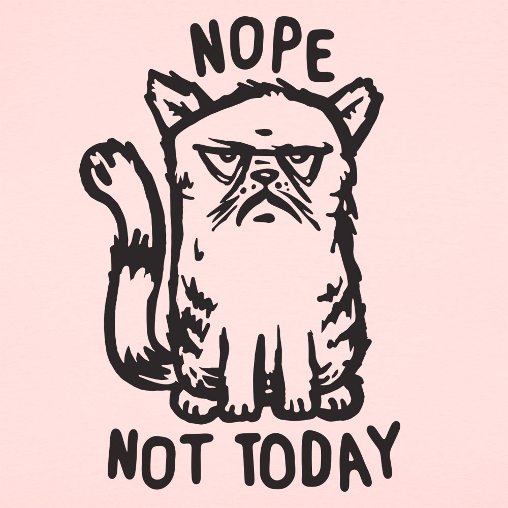 Nope Cat Not Today. Grumpy Cat Saying No