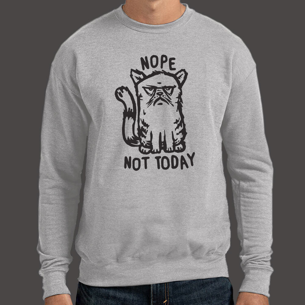 Nope Cat Not Today. Grumpy Cat Saying No